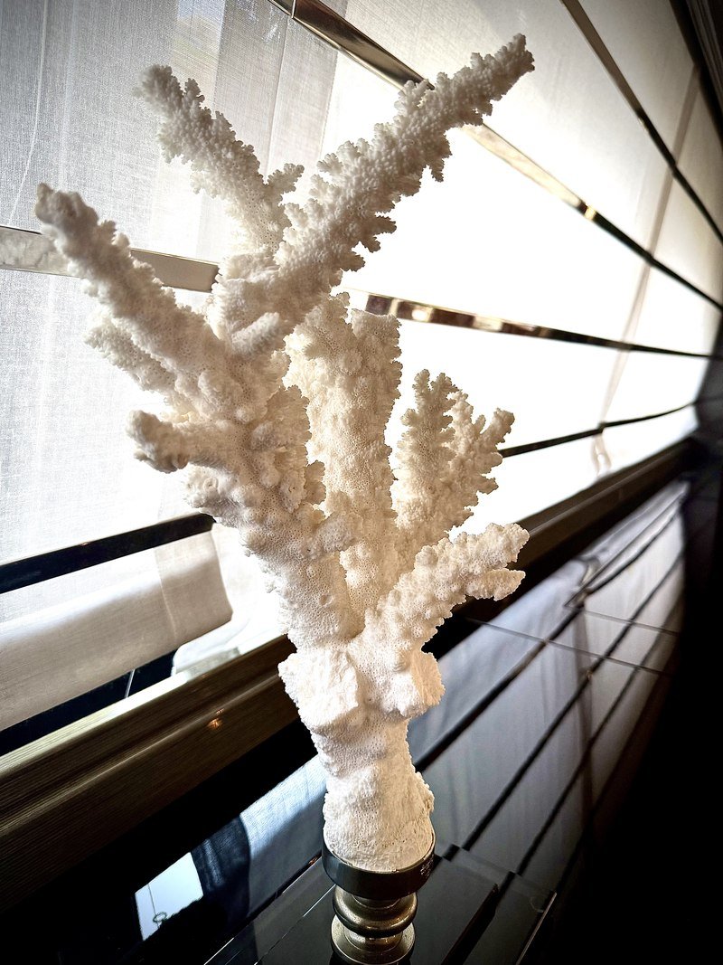 White coral